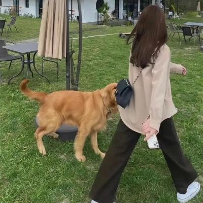 盲眼杀机
