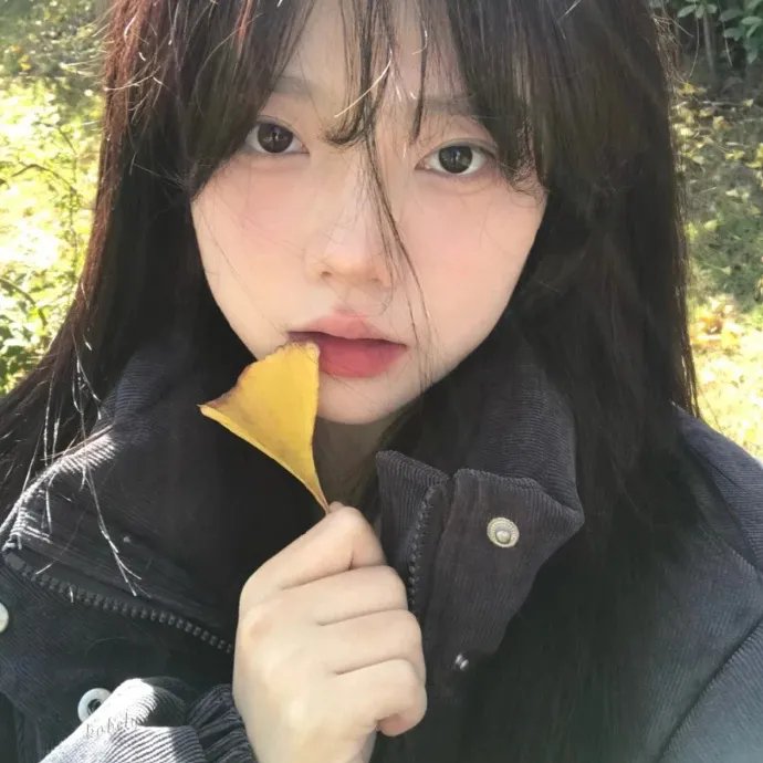 美国犯罪的最后日子